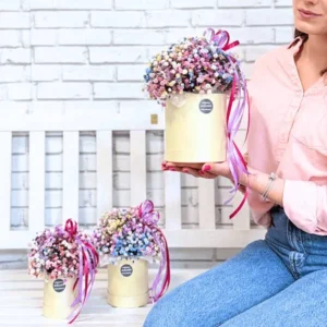 Flowerbox mix farebnych gypsomiliek